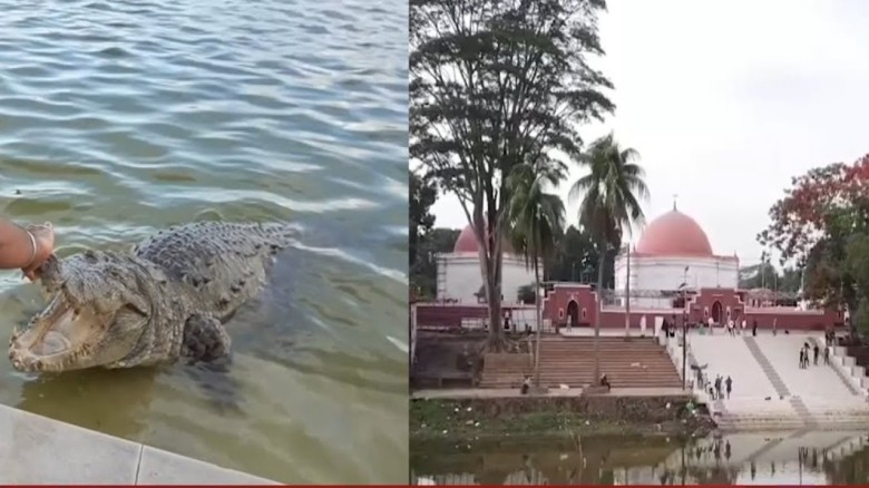 শিশুকে টেনে নিয়ে গেলো কুমির